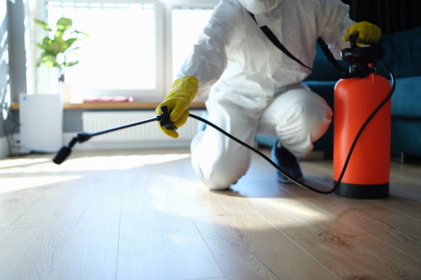 Reliable Odor Removal contractor in Oakdale, MN by Trauma Clean Pros